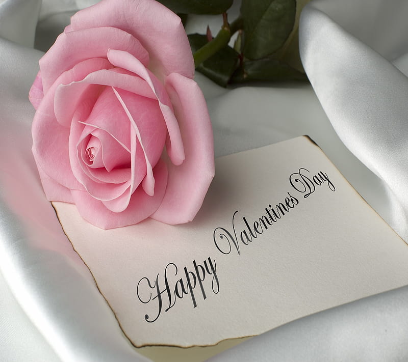 Happy valentine day, 2014, cute, love, rose, valentines day, HD wallpaper