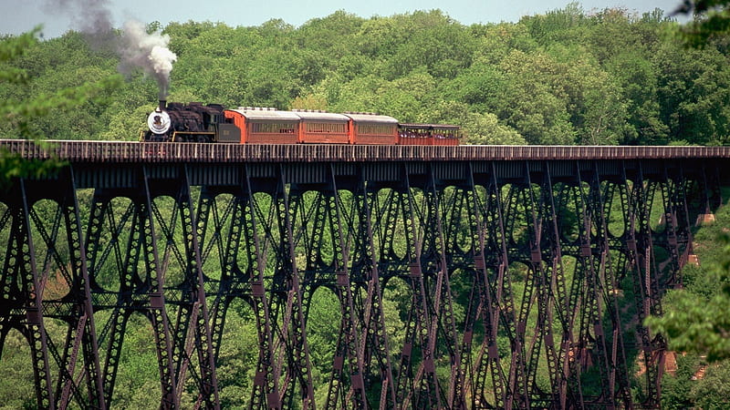 train on a metal bridge over a gorge, train, bridge, gorge, trees, smoke, HD wallpaper