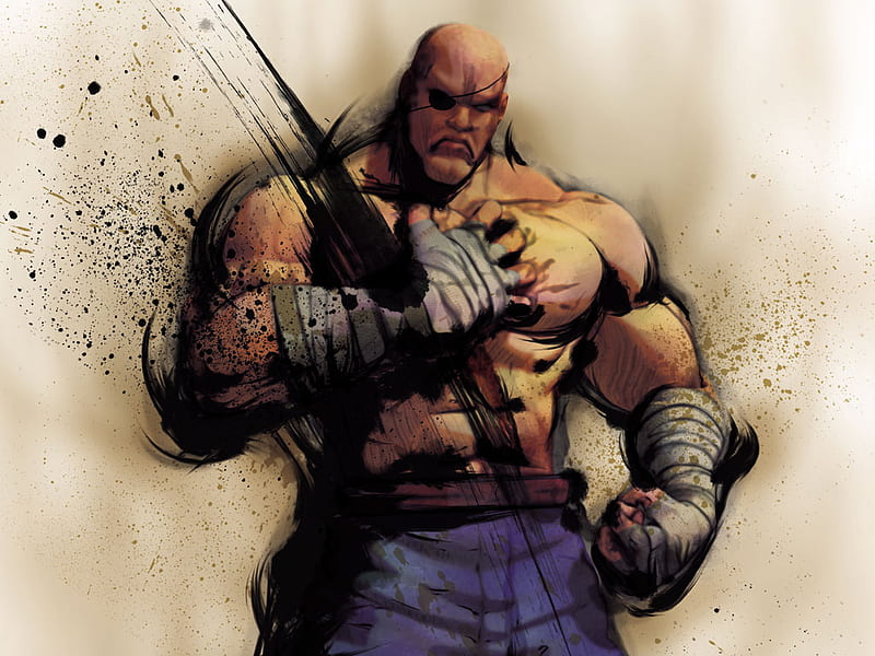 1920x1080px, 1080P free download | Street Fighter: Sagat, sagat ...