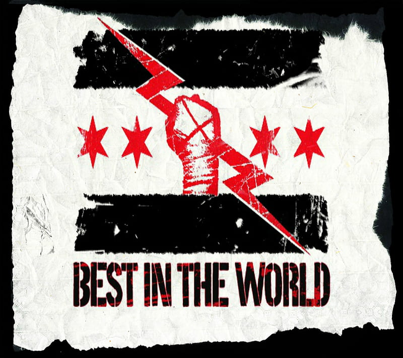 Best, best in the world, cm punk, wwe, HD wallpaper | Peakpx