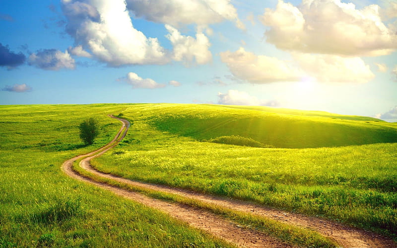 field path-Beautiful summer landscape, HD wallpaper