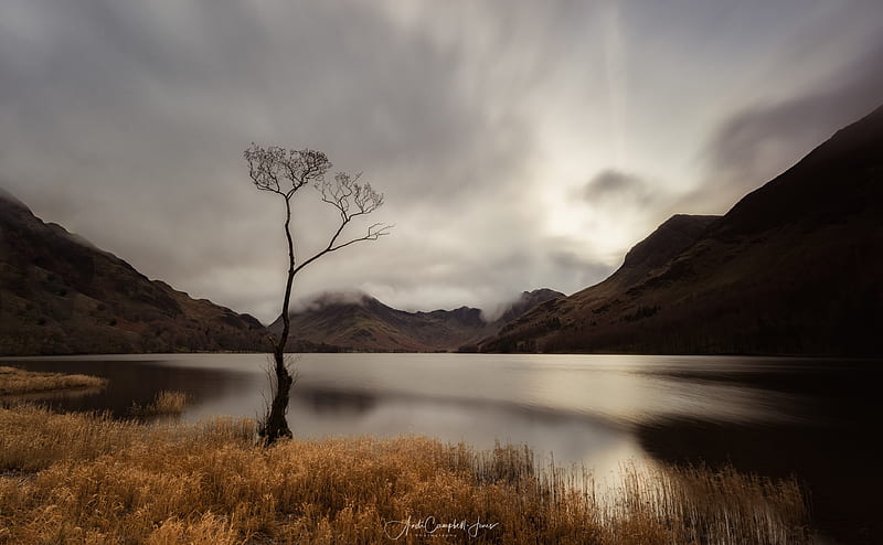 Buttermere Lake, Lone Tree, Autumn, England... Ultra, Nature, Lakes, Travel, Autumn, Shore, Lake, Tree, graphy, England, District, Fall, Europe, lone, visit, unitedkingdom, cumbria, buttermere, HD wallpaper