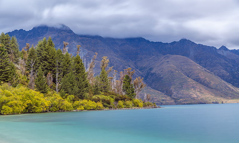 mountains, fog, forest, lake, HD wallpaper