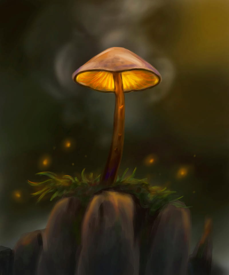 mushroom, particles, grass, art, HD phone wallpaper