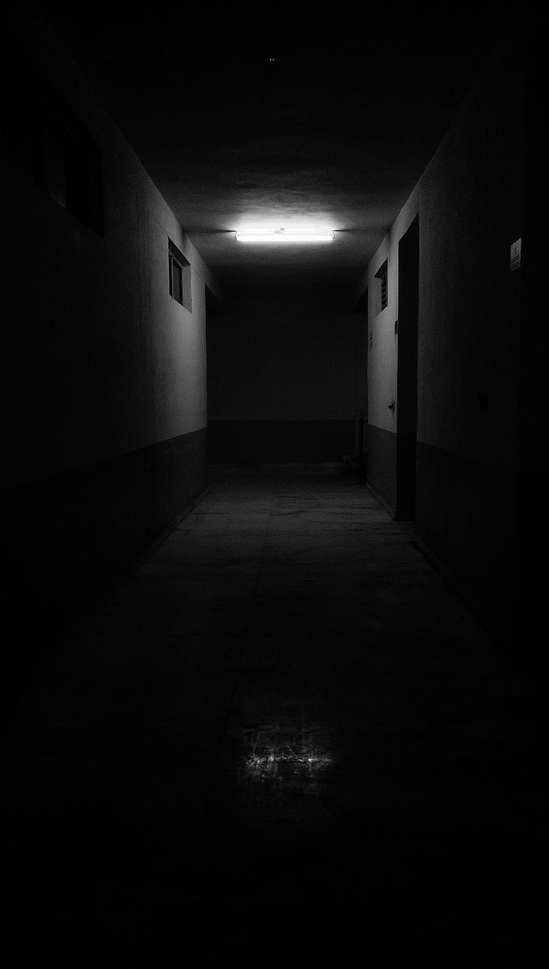 Light in the Dark, black, dark, light, HD phone wallpaper