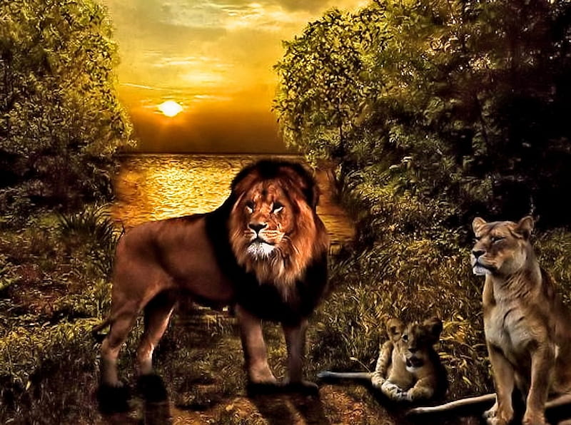 Familia de leones, familia, bonita, arte, leones, Fondo de pantalla HD |  Peakpx