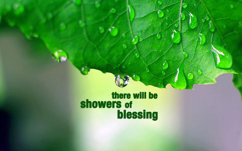 Showers of Blessings, rain, Blessings, Faith, Peace, HD wallpaper