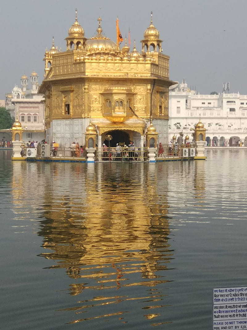Golden temple, amritsar, HD phone wallpaper | Peakpx