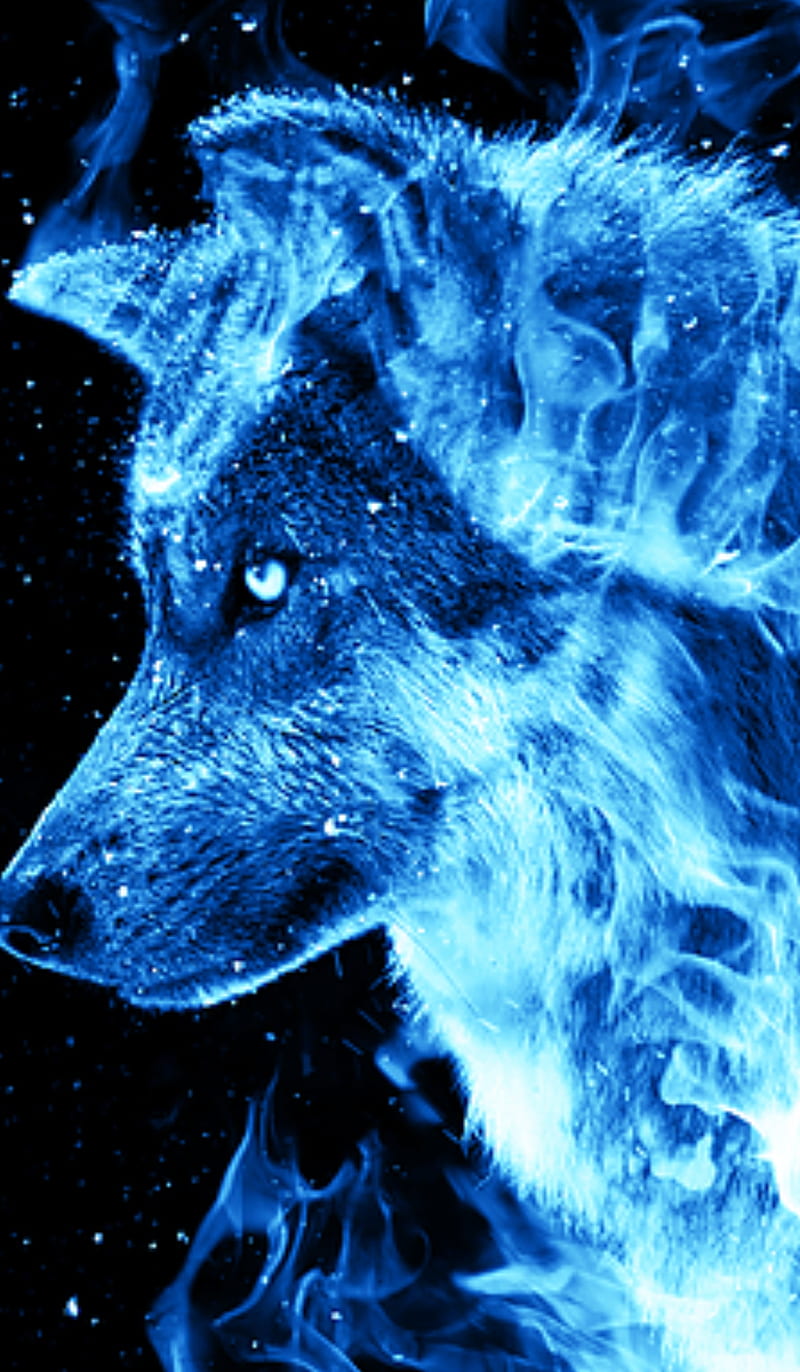 Wolf, blue, galaxy, wolves, HD phone wallpaper