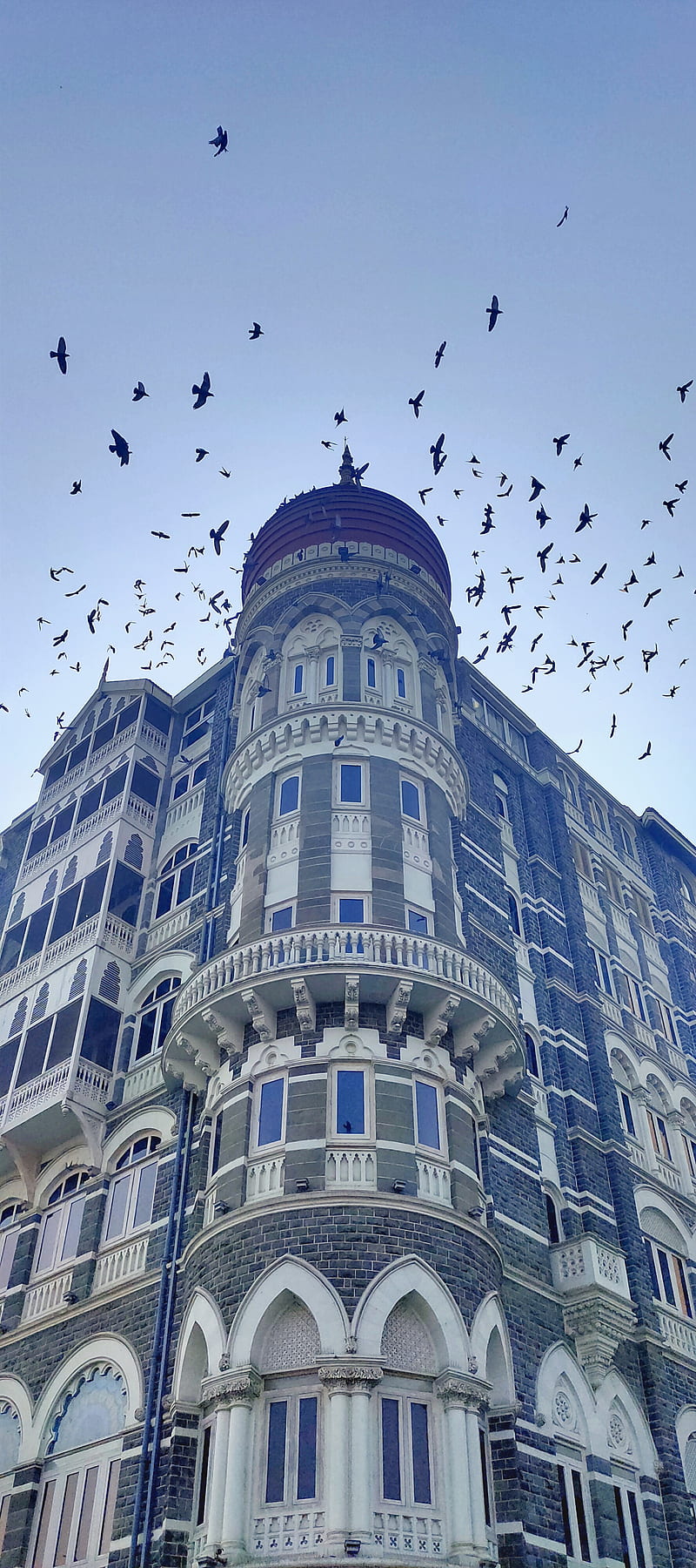 Taj Hotel, amchi mumbai, mumbai, mumbai meri jaan, taj, HD phone wallpaper