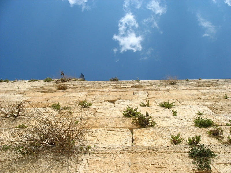 Untitled , western wall, jerusalem, wailing wall, looking up, HD wallpaper