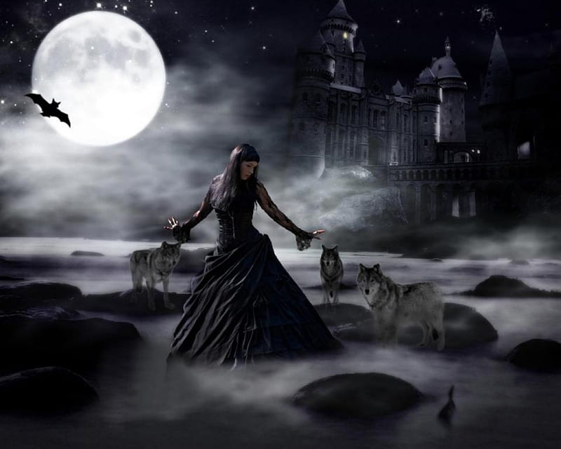 Vampire And Children Of The Night, rocks, moon, female, water, bat, vampire, wolves, castle, HD wallpaper