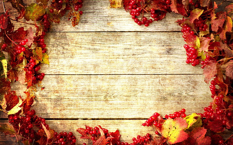 Happy Autumn!, red, autumn, toamna, yellow, leaf, fruit, berry, texture, wood, HD wallpaper