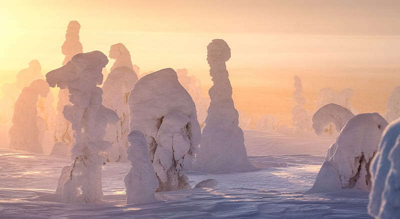 Lapland Winter Wonderland Ultra, Europe, Finland, Nature, bonito, Landscape, Winter, Snow, lapland, Sunlight, harsh, HD wallpaper