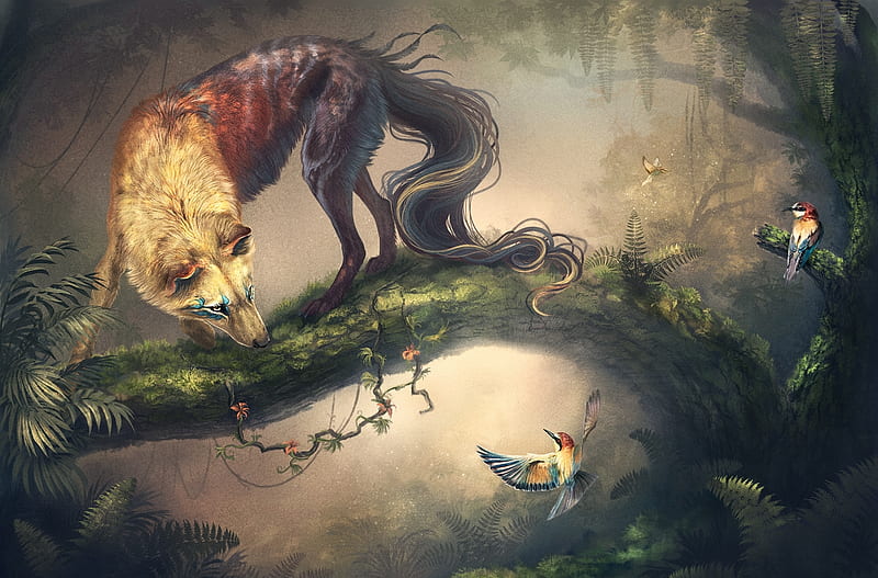 Treat or friend?, fantasy, bird, luminos, areot, pasare, lup, wolf, HD wallpaper