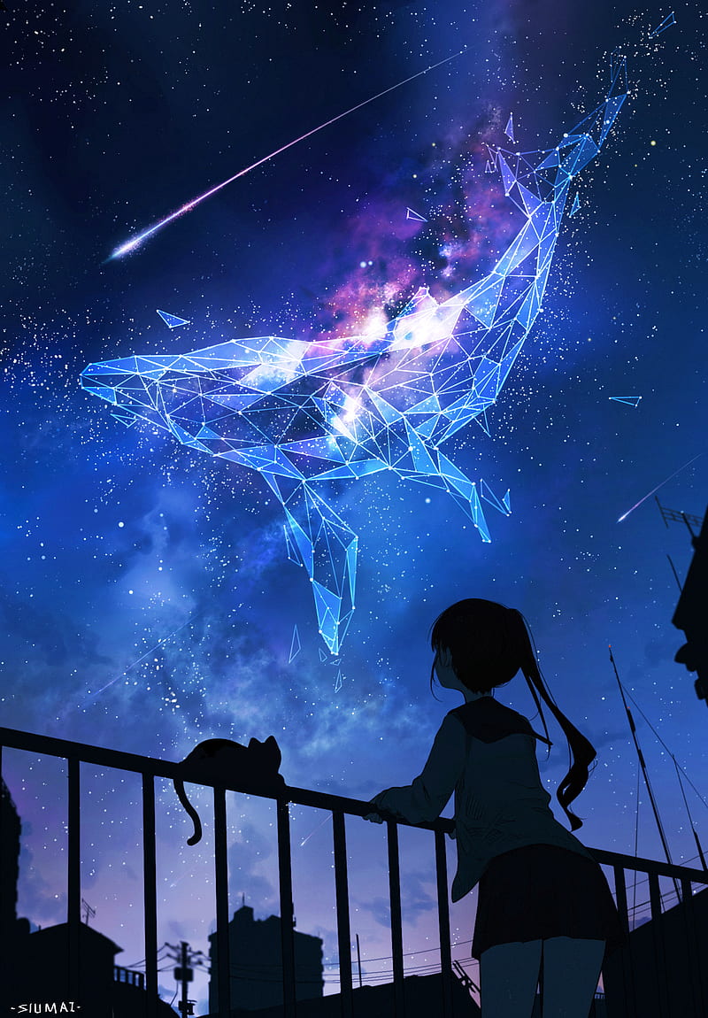 YAMAno, anime, anime girls, cats, night sky, ponytail, HD phone wallpaper |  Peakpx