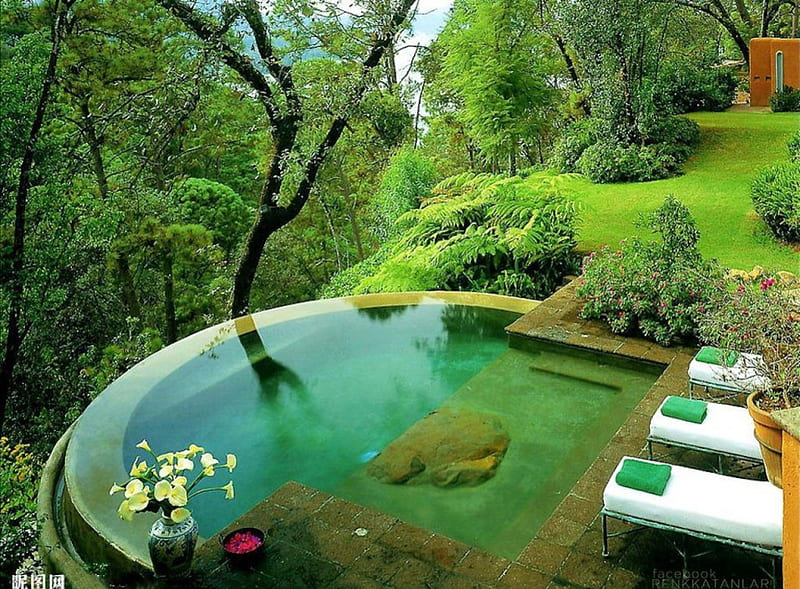 Backyard Haven, pond, lounge, green, relax, home, peaceful, pool, yard, HD wallpaper