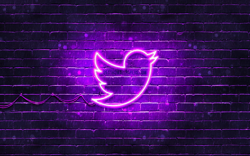 Twitter violet logo violet brickwall, Twitter logo, brands, Twitter neon logo, Twitter, HD wallpaper