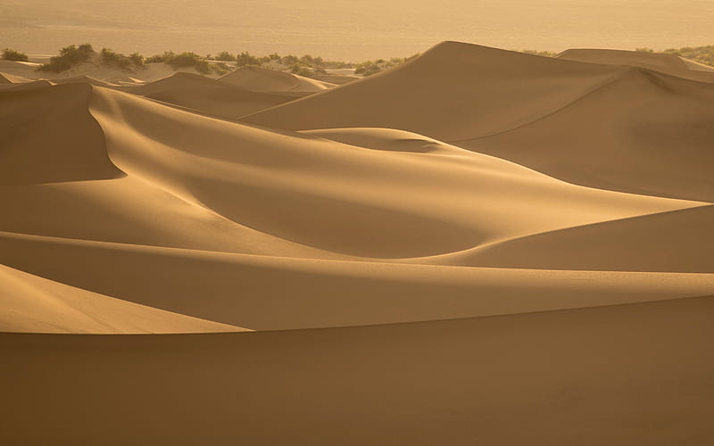 desert, sand, dunes, sand dunes, summer, sand waves, Africa, HD wallpaper