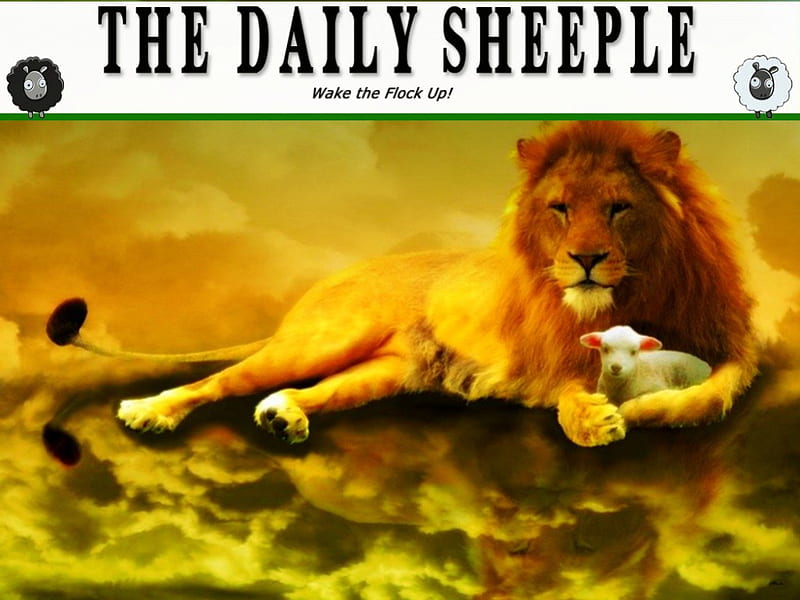 The Daily Sheeple, sheep, bible verse, jesus, scriptures, bible, god, lion, holy spirit, HD wallpaper