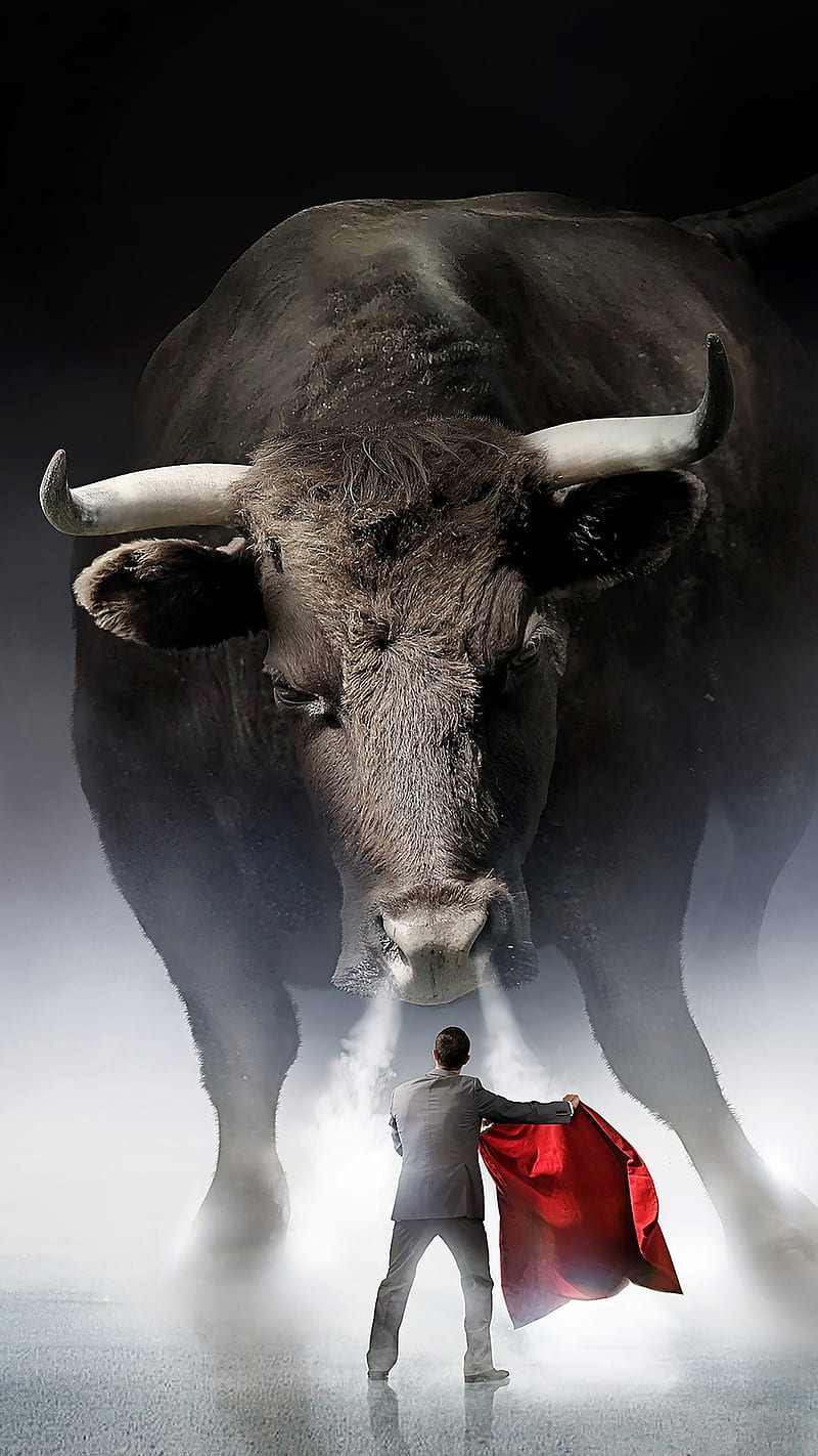 No fear, giant, male, man, red, bullfight, HD phone wallpaper