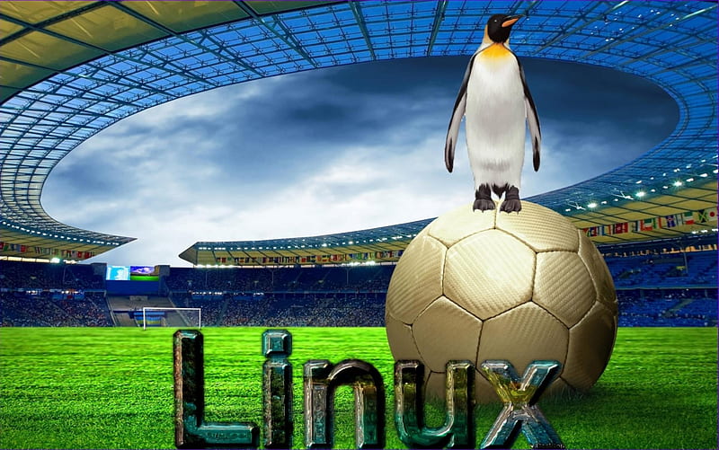 Linux, y, c, x, v, HD wallpaper