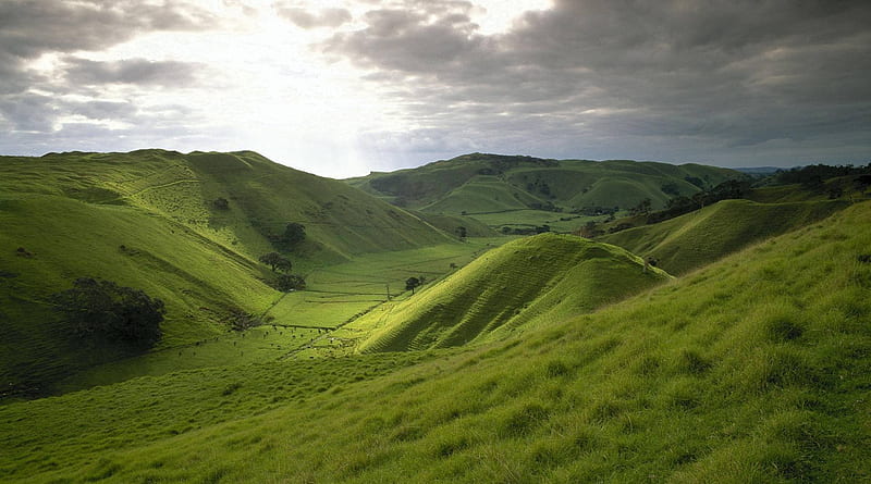 rolling hills of new zealand, hills, sheep, clouds, grass, HD wallpaper