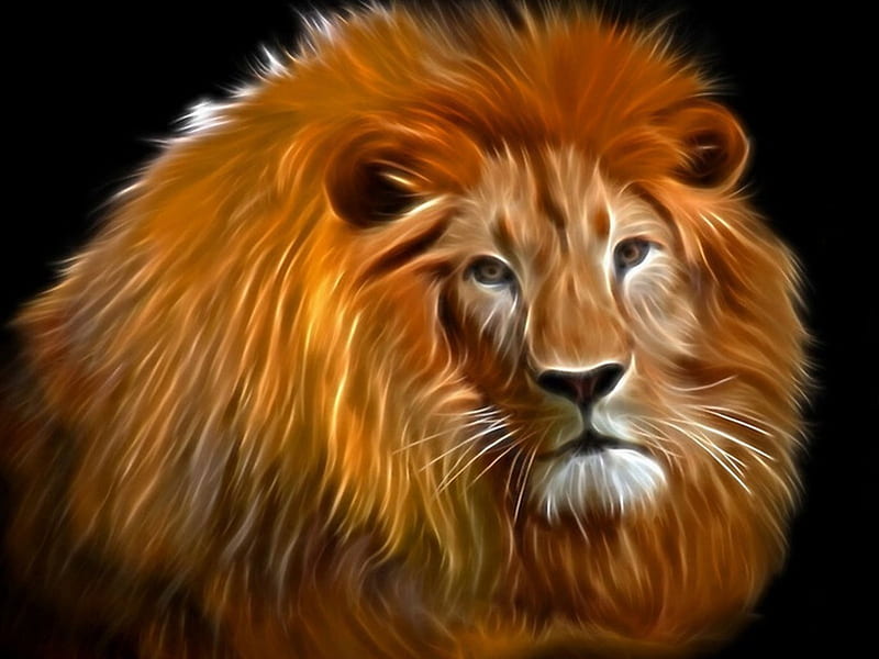 Polished King, big cat, cat, lion, african, HD wallpaper