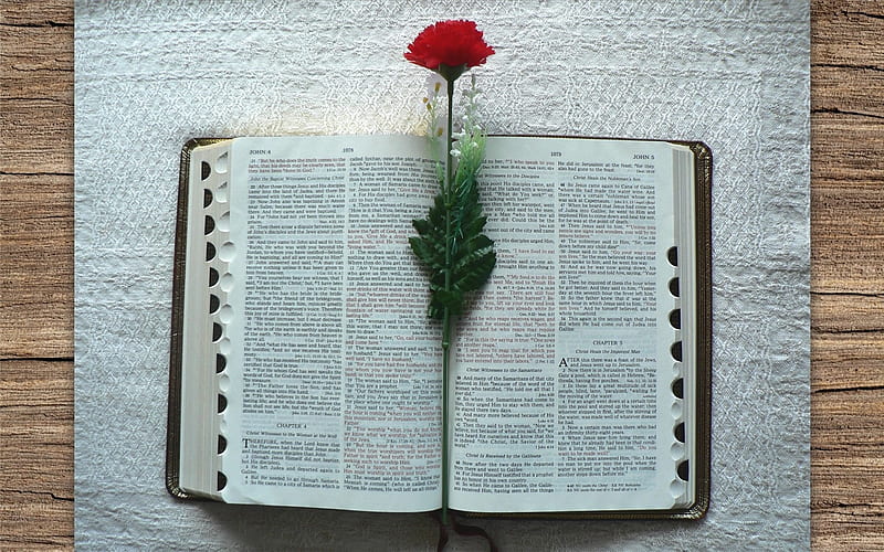 Holy Bible and Flowers, flowers, Bible, Book, Holy, HD wallpaper