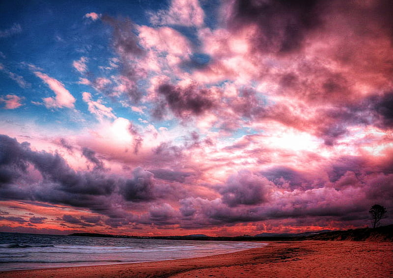 Pink Clouds, beach, cloud, sky, scenery, sea, HD wallpaper | Peakpx