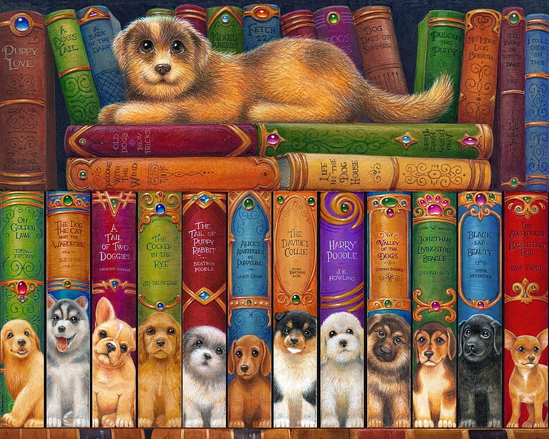 :), art, fantasy, book, caine, painting, creative, pictura, dog, library, HD wallpaper