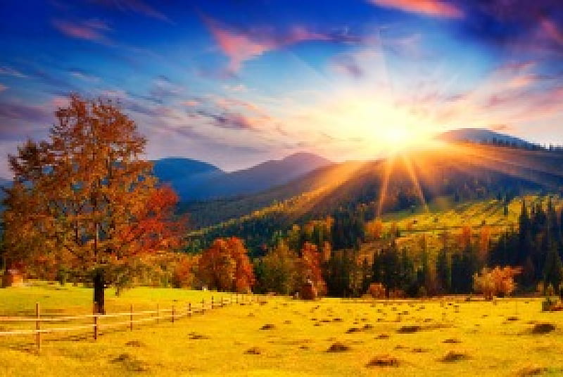 Autumn sun, fall, autumn, glow, sun, view, bonito, trees, mountain, rays, slope, HD wallpaper