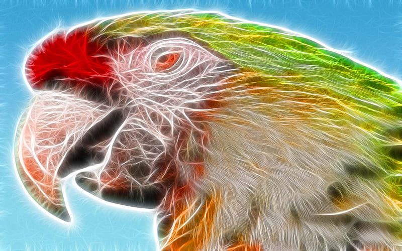 The Talkative, sparkle, colorful, fractalius, bird, beauty, parrot, animal, HD wallpaper