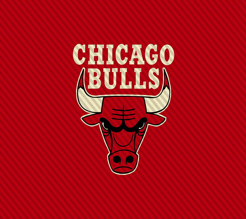 Chicago bulls, nba, HD wallpaper | Peakpx