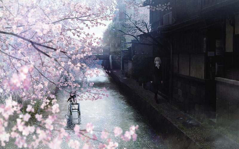 Walking on the Street, pretty, cherry trees, sweet, anime, flowers, beauty, pink, light, art, houses, shadow, black, cute, water, girl, walk, white, HD wallpaper