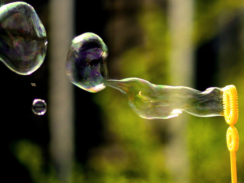 Blowing Bubbles, blow, bubbles, blowing, fun, childhood, kids, HD wallpaper