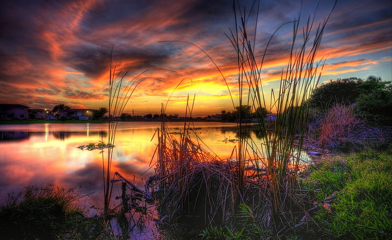 Sunset River afternoon, sundown, gold, wildflowers, landscapes, countries, creeks, bright, flowers, cities, paisage, sunbeam, sunrises, dawn, brightness, sunrays, purple, violet ambar, bonito, seasons, leaves, roots, green, amber, scenery, beije, blue, night, horizon, lakescape, lakes, maroon, paisagem, day, nature, reflected, branches, scene, orange, high definition, yellow, clouds, cenario, lightness, scenario, shadows, brilliant, beauty, evening, rivers, paysage, cena, golden, black, trees, lagoons, panorama, cool, awesome, sunshine, colorful, brown, sunny, laguna, trunks sunsets, mirror, pink, light, amazing, view, sunlight, colors, serenit, leaf, plants, vibrant, colours, reflections, natural, HD wallpaper