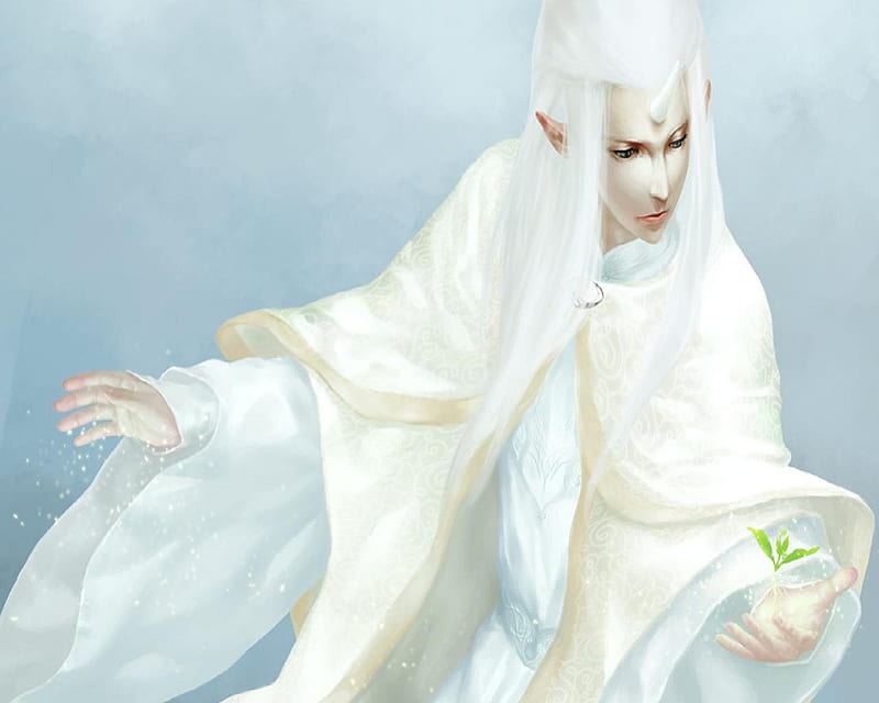 A White Wizard, male, plant, elf, horn, magic, white, HD wallpaper