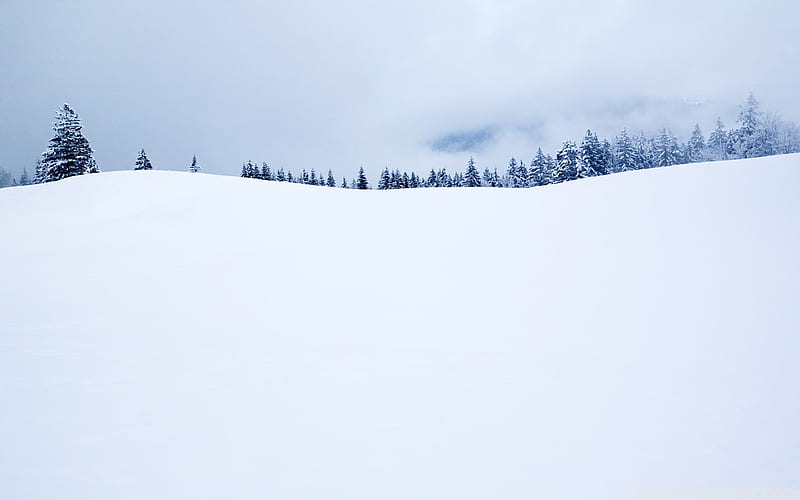 winter season-the cold winter landscape, HD wallpaper