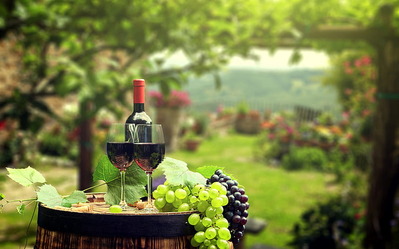 red wine, vineyard, glasses with wine, grapes, harvest, HD wallpaper