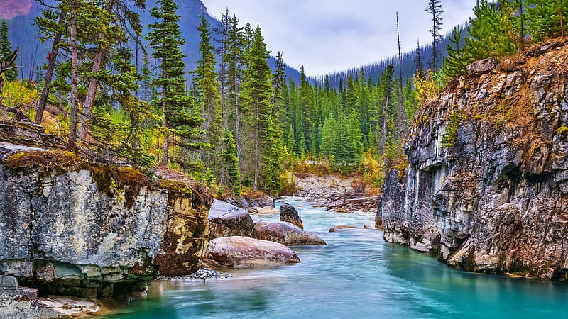 Marble Canyon, Kootenay NP, British Columbia, landscape, trees, canada, rocks, mountains, forest, stones, HD wallpaper
