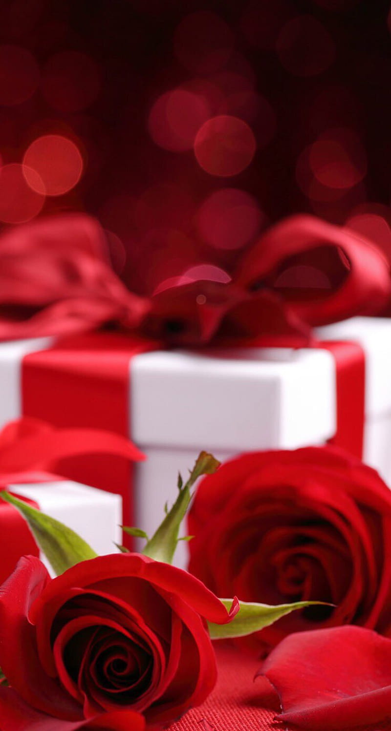 Red Theme, rose, roses, romantic, gift, romance, love, HD phone ...