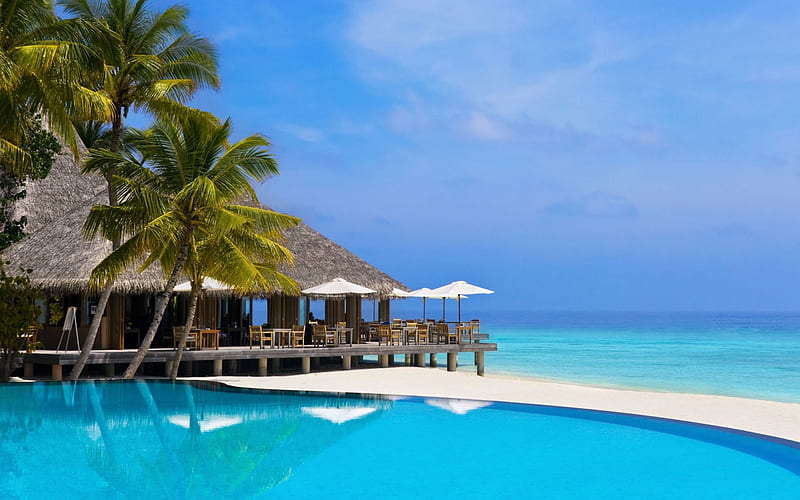 tropical island, resort, Maldives, ocean, palm trees, swimming pool, HD wallpaper