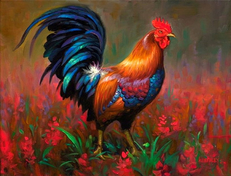 ★The Beauty Rooster★, rooster, lovely, colors, love four seasons, bonito, creative pre-made, hen, paintings, animals, HD wallpaper