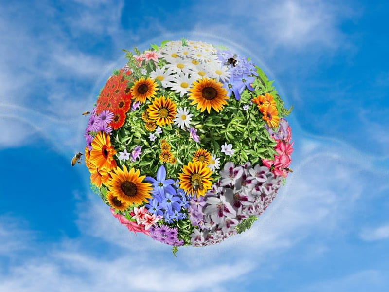 Earth Flowers, bee, flowers, earth, clouds, sky, HD wallpaper