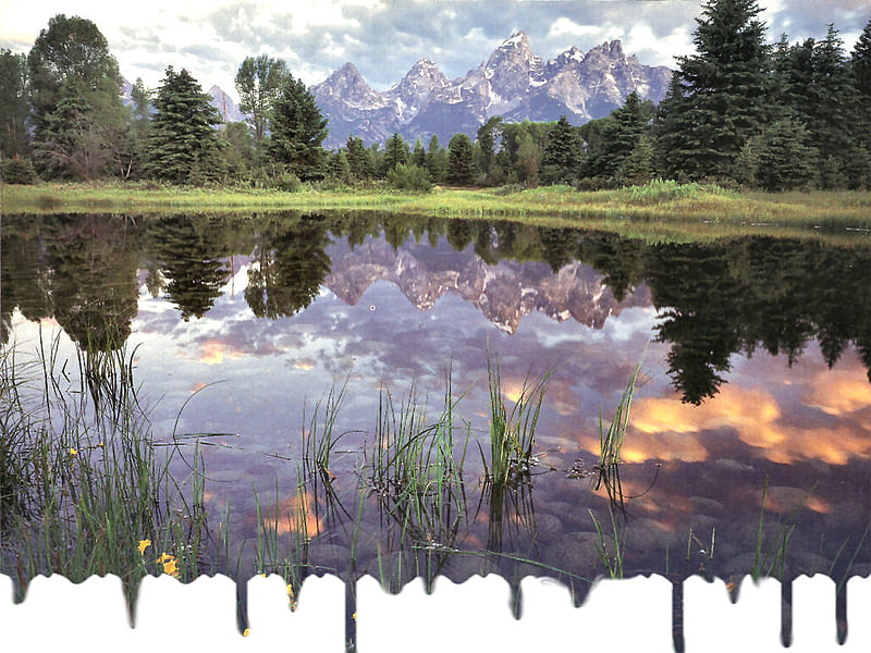 Beaver Pond , wyoming, graphy, tetons, mountians, national park, scenery, landscape, HD wallpaper
