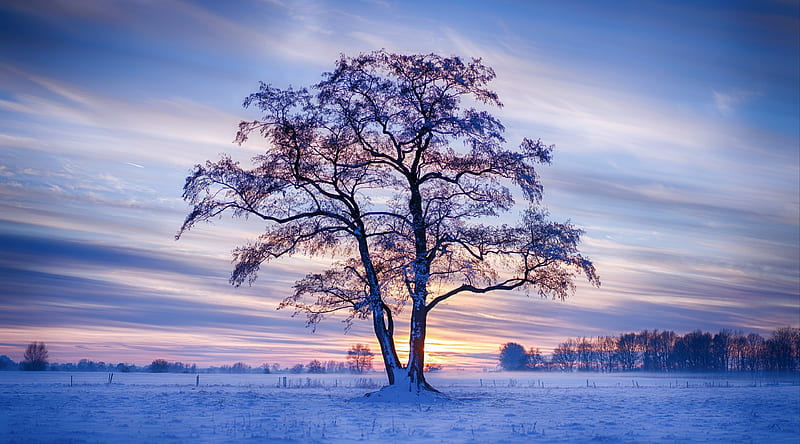 Winter Landscape Ultra, Seasons, Winter, Nature, Landscape, HD wallpaper