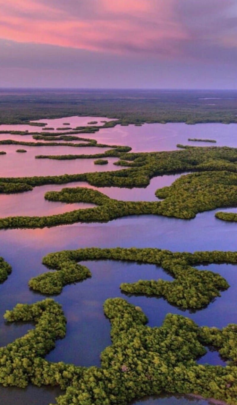 Everglades, landscape, national park, HD phone wallpaper