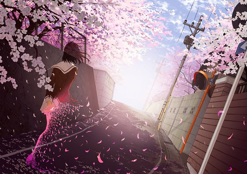 Disappear, sakura, art, girl, petals, orginal, scenery, street, cherry blossom, HD wallpaper