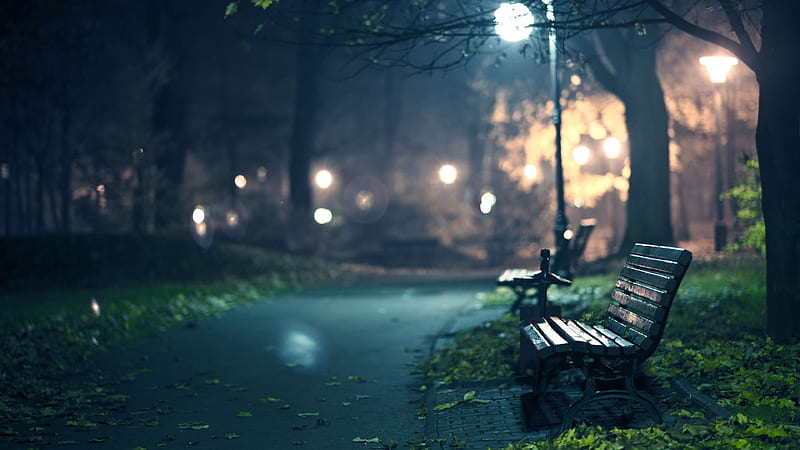 Lonely benches in the park street light, beach, Park, Lonely, Light, Street, HD wallpaper